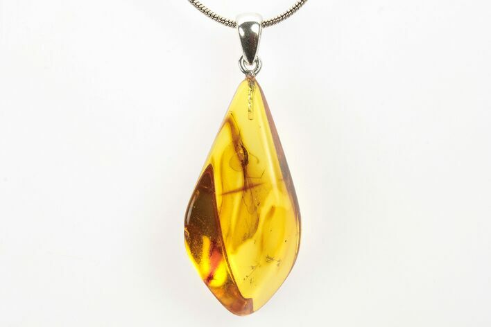 Polished Baltic Amber Pendant (Necklace) - Contains Crane Fly! #273395